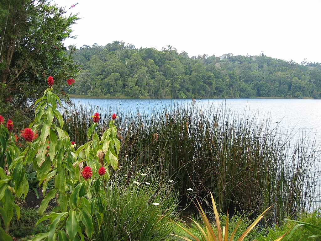 187 Lake Barrine.jpg